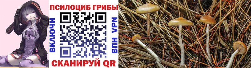 Галлюциногенные грибы прущие грибы Усмань